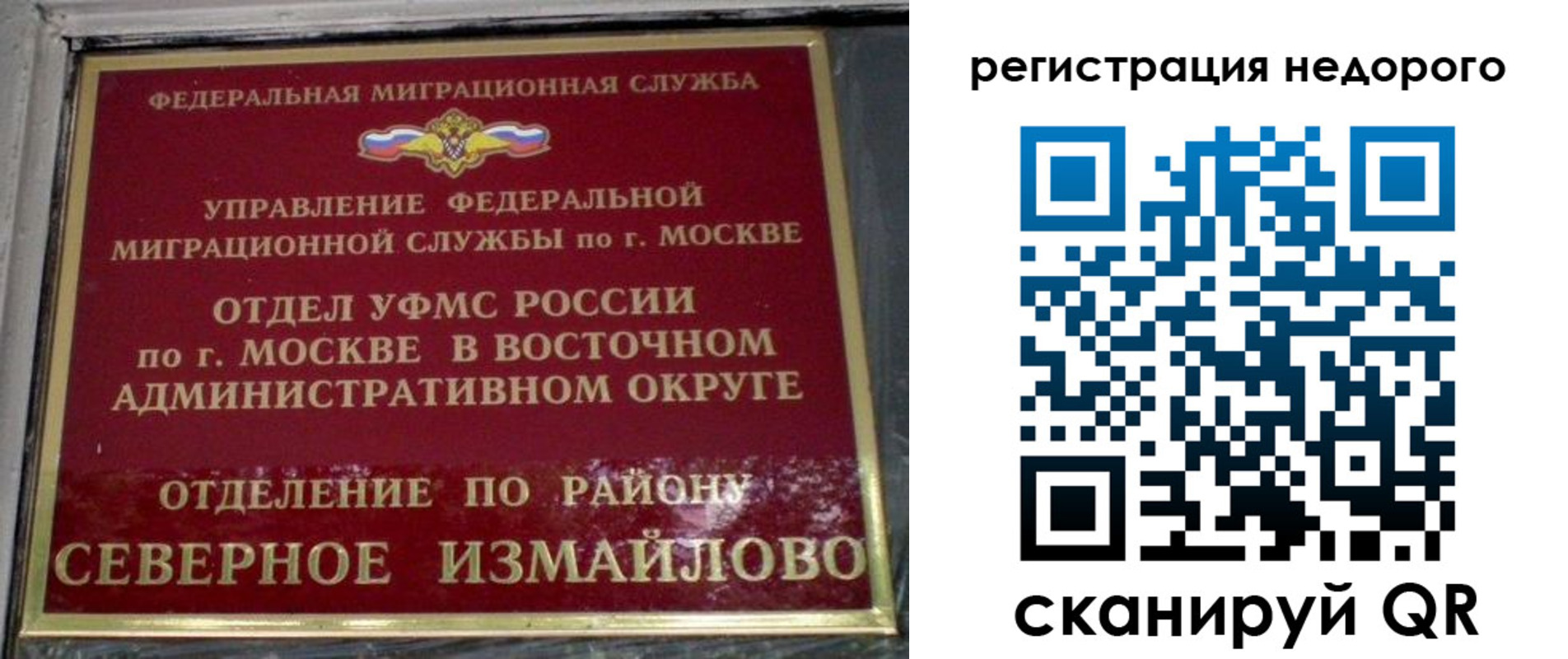 прописка в квартире в Палласовке