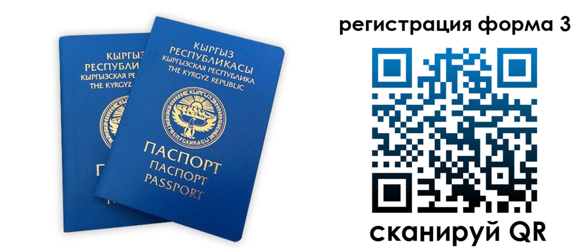 временная регистрация госуслуги в Палласовке